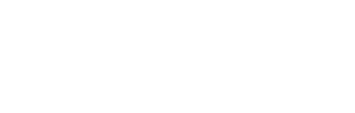 NYS Council of the Arts Logo White